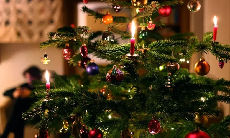 راهنمای خرید درخت کریسمس