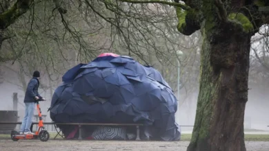 اخبار آلمان