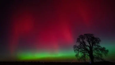 اخبار آلمان