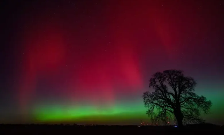 اخبار آلمان