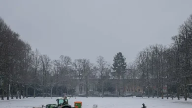 یخبندان در آلمان