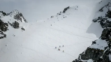 بهمن در سوئیس