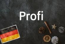 کلمه آلمانی Profi