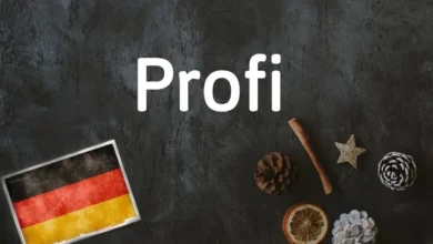کلمه آلمانی Profi