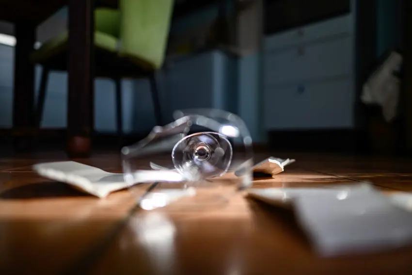 خشونت خانگی در آلمان