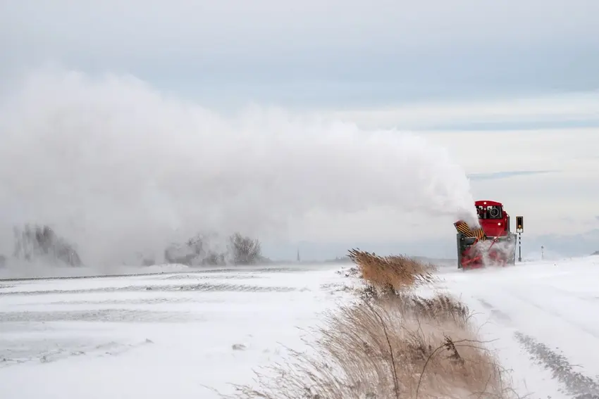 اخبار امروز آلمان