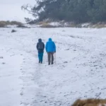 اخبار امروز آلمان