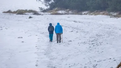 اخبار امروز آلمان