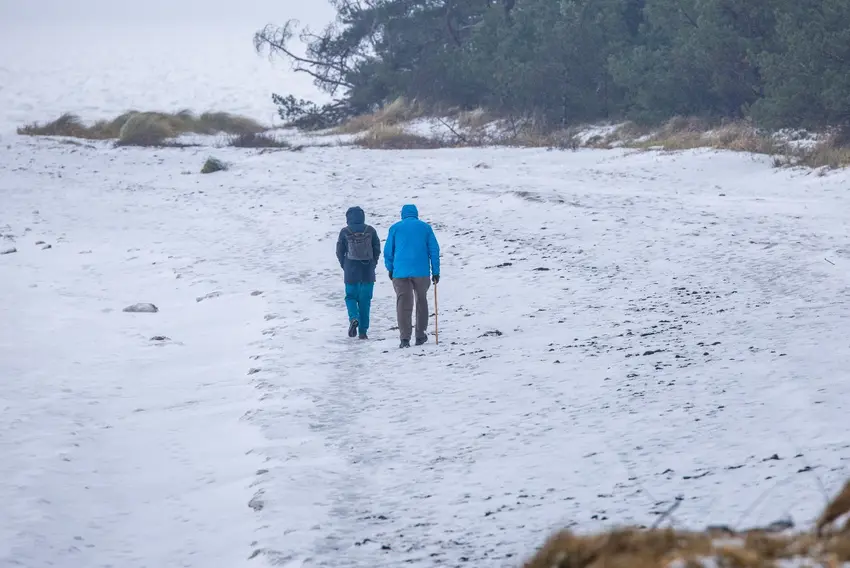 اخبار امروز آلمان