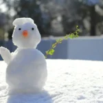 اصطلاحات آلمانی