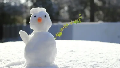 اصطلاحات آلمانی