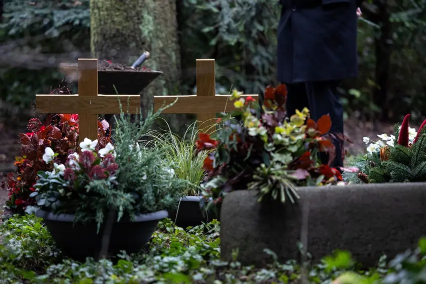 تسلیت در زبان آلمانی