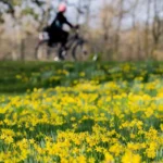 خوشحالی در آلمان