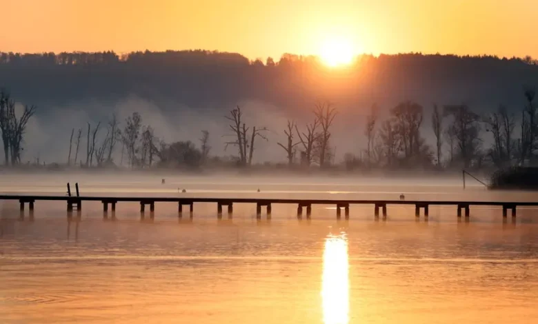 اخبار آلمان