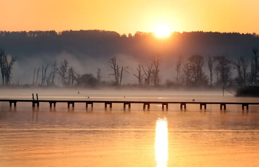 اخبار آلمان