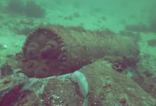 اخبار آلمان