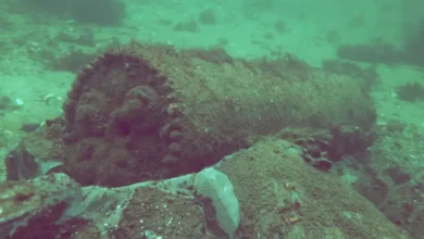 اخبار آلمان