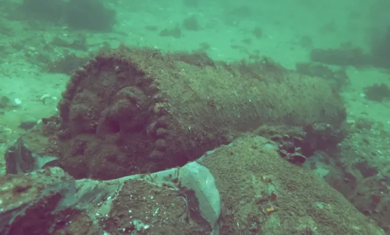 اخبار آلمان