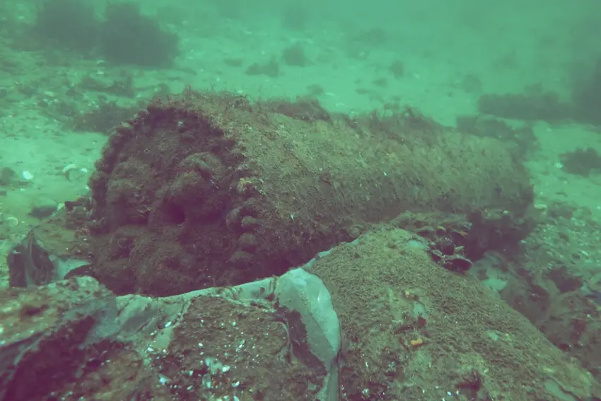 اخبار آلمان