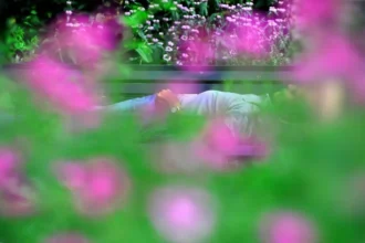 پارک های برلین