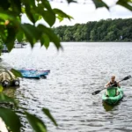 اخبار آلمان