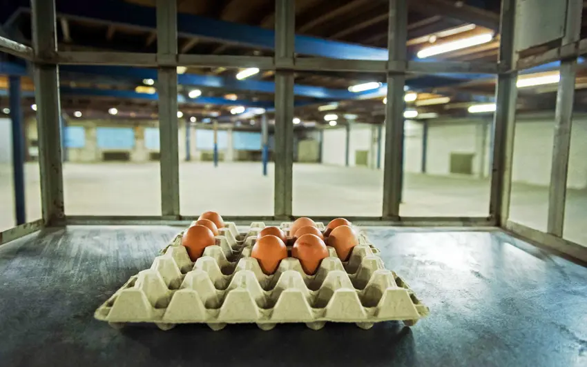 اخبار آلمان