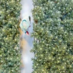 اخبار آلمان