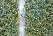 اخبار آلمان