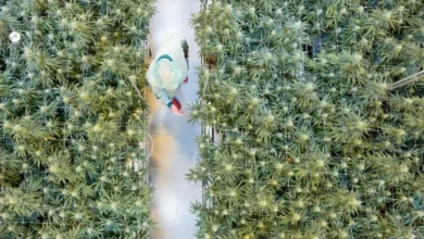 اخبار آلمان