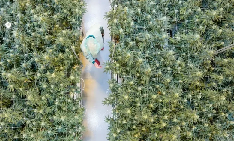 اخبار آلمان