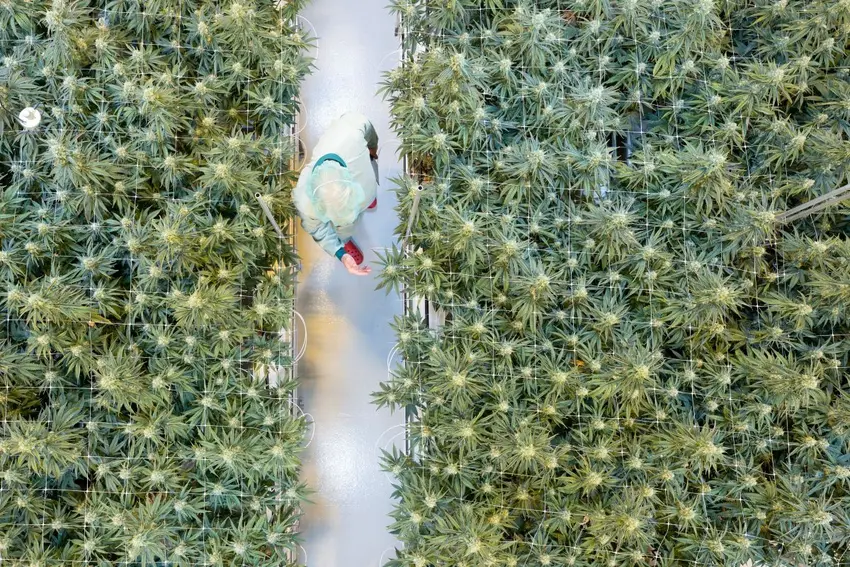 اخبار آلمان