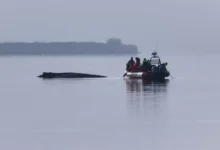 اخبار آلمان