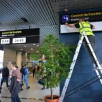 قوانین جدید شینگن